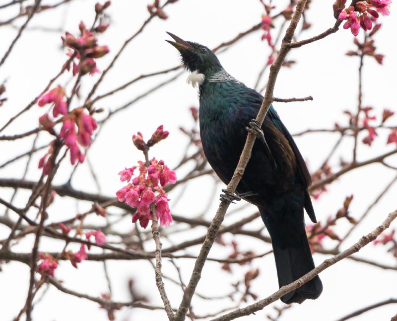 Featured image of post August favourites