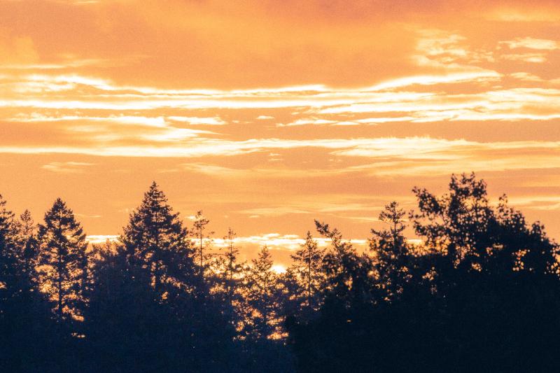 Featured image of post December Favourites