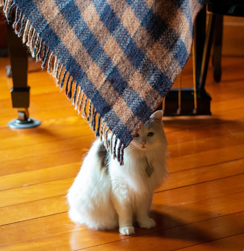 Featured image of post November Favourites