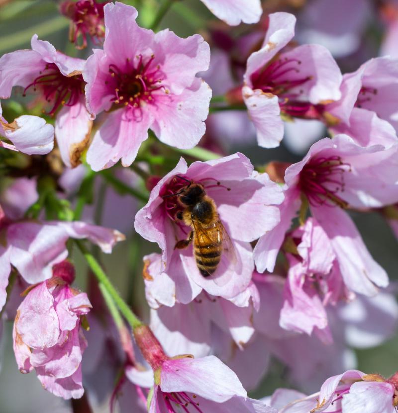 Featured image of post October Favourites