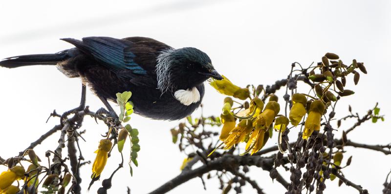 Featured image of post September Favourites