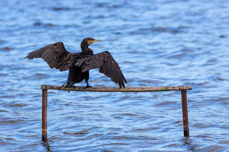 Featured image of post January Favourites