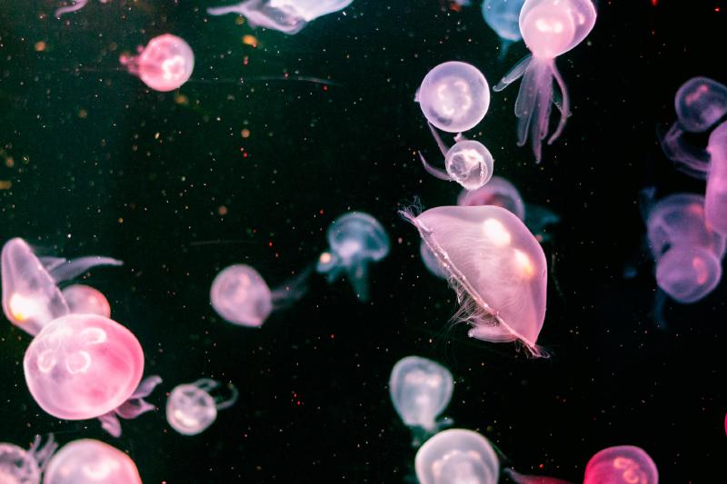 Featured image of post 2022 Retrospective