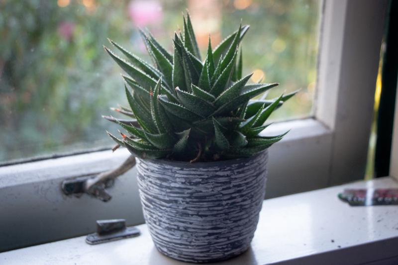 Featured image of post Introduction